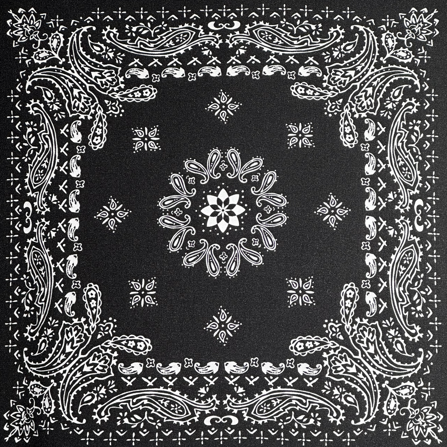 Sandwalker Buttondown (Black)
